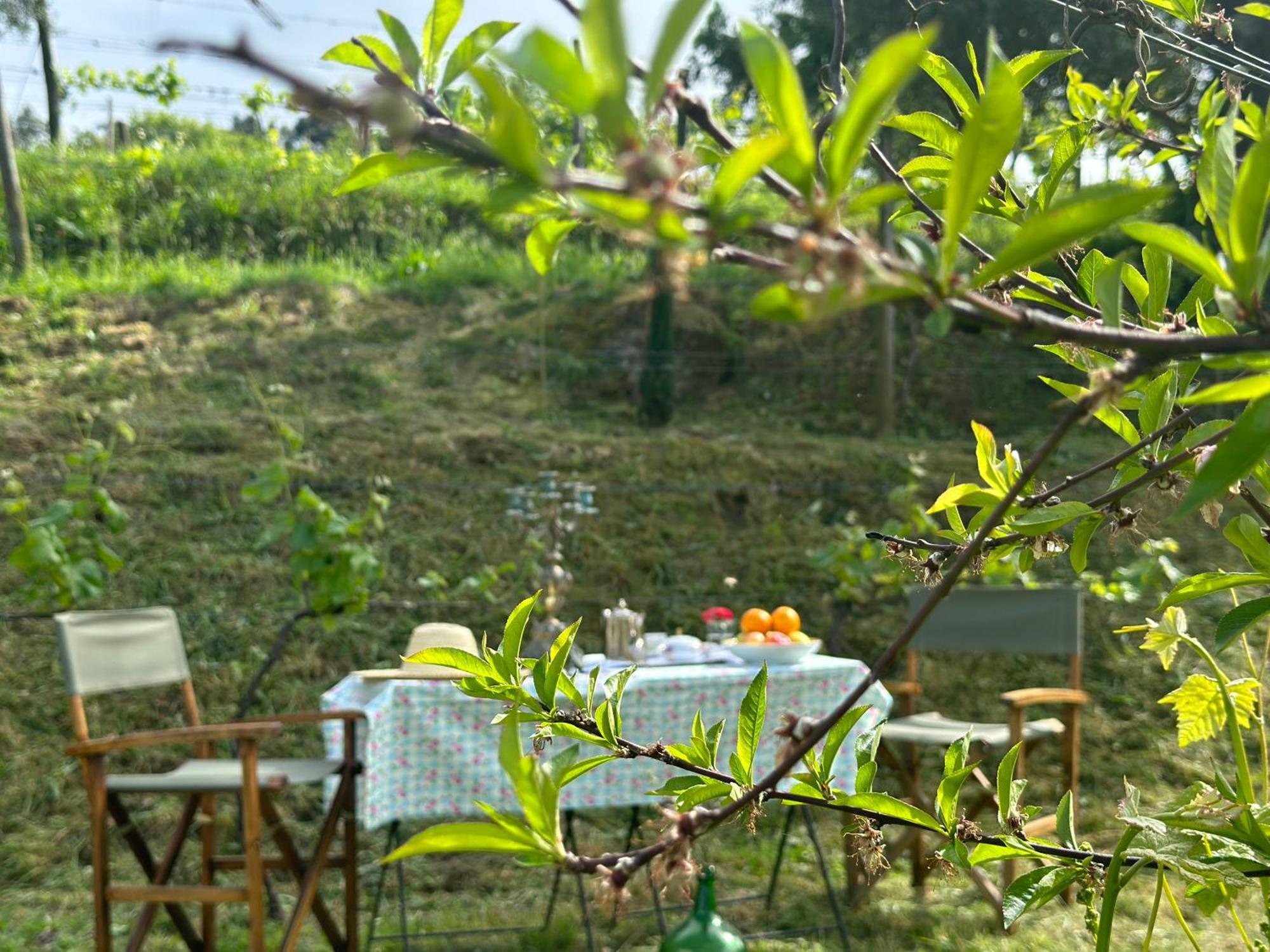 Carmo'S Boutique Hotel - Small Luxury Hotels Of The World Ponte de Lima Luaran gambar